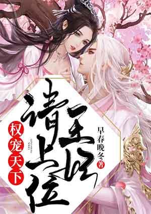 权宠天下,王妃请上位