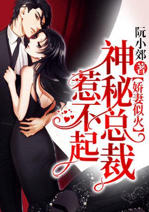 娇妻似火,神秘总裁惹不起