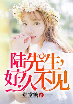 陆先生,好久不见