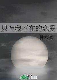 只有我不在的恋爱