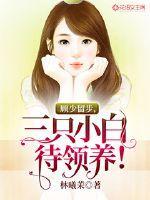 顾少留步,三只小白待领养!