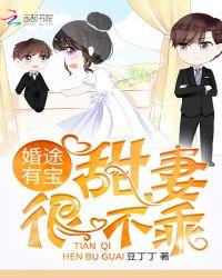 婚途有宝:甜妻,很不乖