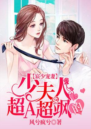 辰少宠妻:少夫人超A超飒的