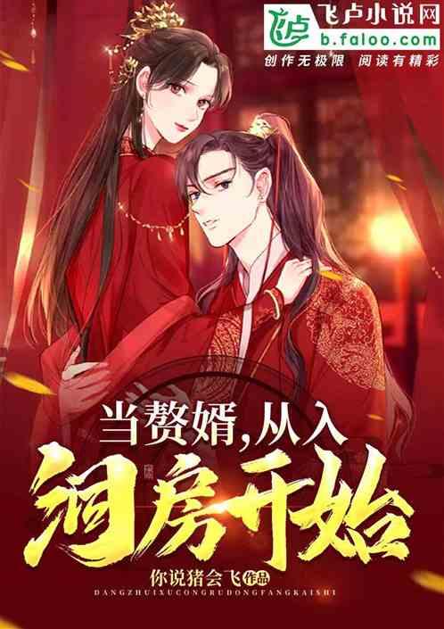 当赘婿,从入洞房开始