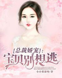 总裁娇宠:宝贝别想逃