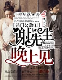 名门公敌①谢先生,晚上见!