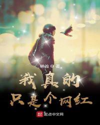 我真的只是个网红