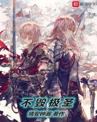 不毁极圣
