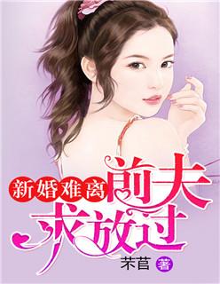 新婚难离:前夫求放过