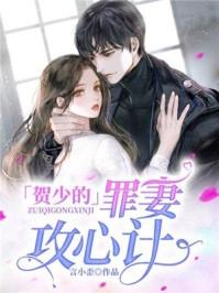 贺少的罪妻攻心计