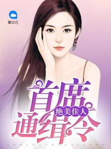 绝美佳人:首席通缉令