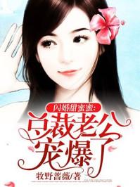 闪婚甜蜜蜜:总裁老公宠爆了