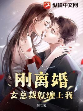 刚离婚,女总裁就缠上我
