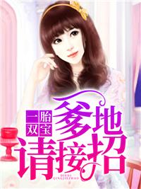 一胎双宝:爹地请接招